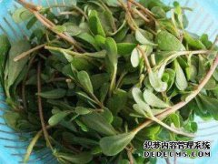 不要用手“拍打”，不要将“那个”放在脚上或