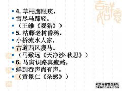 “言语不是肤浅的，言语是不好的” 56个通用词